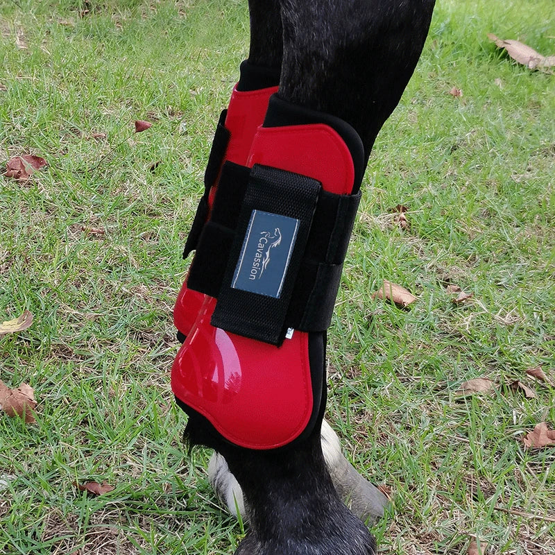 Botas de equitación con protección para los tendones y menudillos del caballo, botas abiertas por delante para ofrecer protección a las patas traseras.